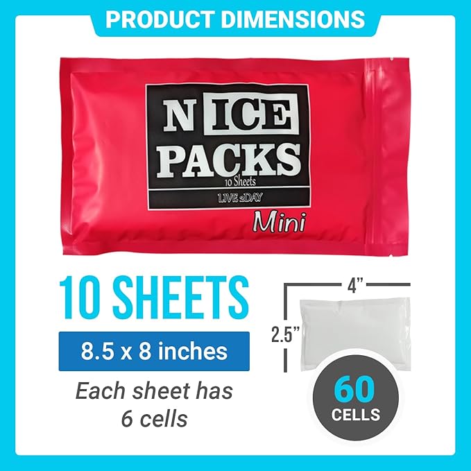 Nice Packs Reusable Dry Ice Packs for Shipping Frozen Food, Coolers, Lunch Boxes - Flexible and Long Lasting (10 Mini Sheets)