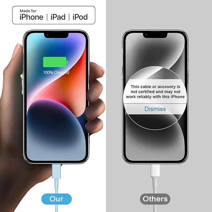 iPhone 17 16 15 Charger Fast Charging 2+2Pack 20W USB C Wall Charger with 10FT Fast Charging Cable Compatible with iPhone 17/17 Air/17 Pro/17 Pro Max/iPhone 16/15 Series, iPad Pro/AirPods-Blue