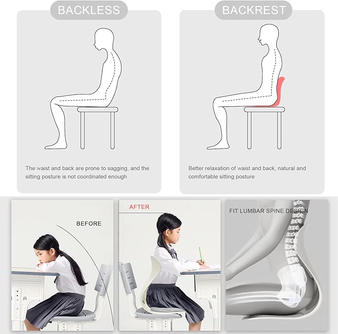 Posture Support Cushion - Lumbar & Back Support for Office Chair, Car Seat, Sofa, Ergonomic Chair & Back Cushion Back Support (04)