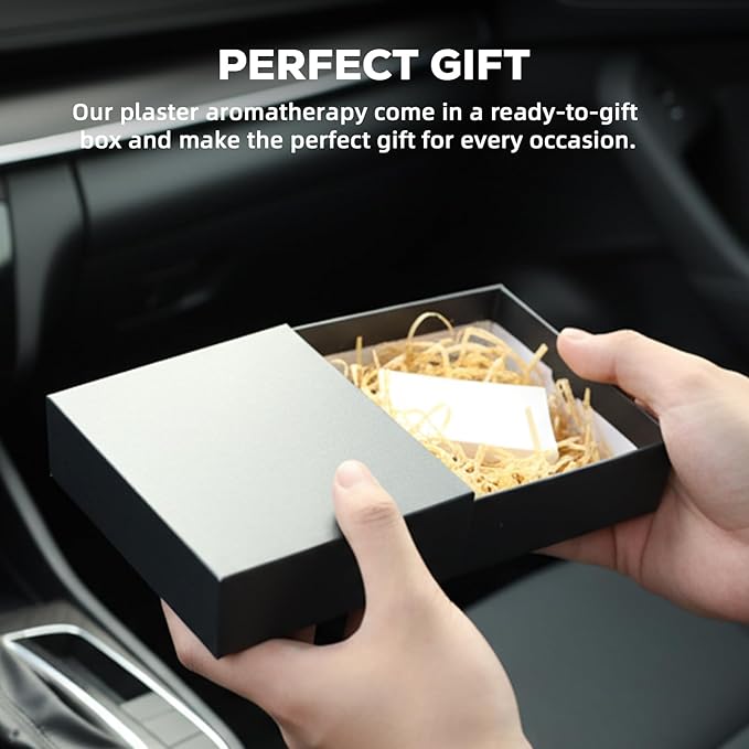 Car Air Freshener Small Plaster Diffuser New Smell Set Clean Ingredients Car Odor Eliminator Long Lasting Scent Auto Accessories with Metal Clip (Square, 2 PCS)