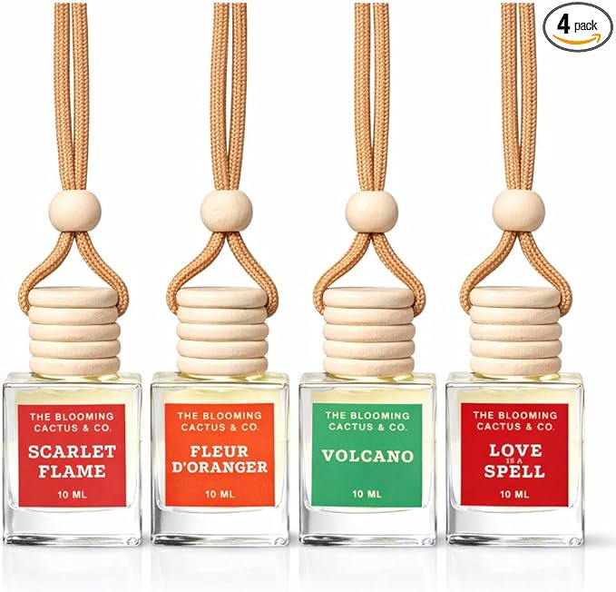 4 Pack Air fresheners | Long lasting car air fresheners, Hand-made in USA | Small room diffuser | Small Business Woman Owned. (10 ml Delightful & Elegant Pack Mix)
