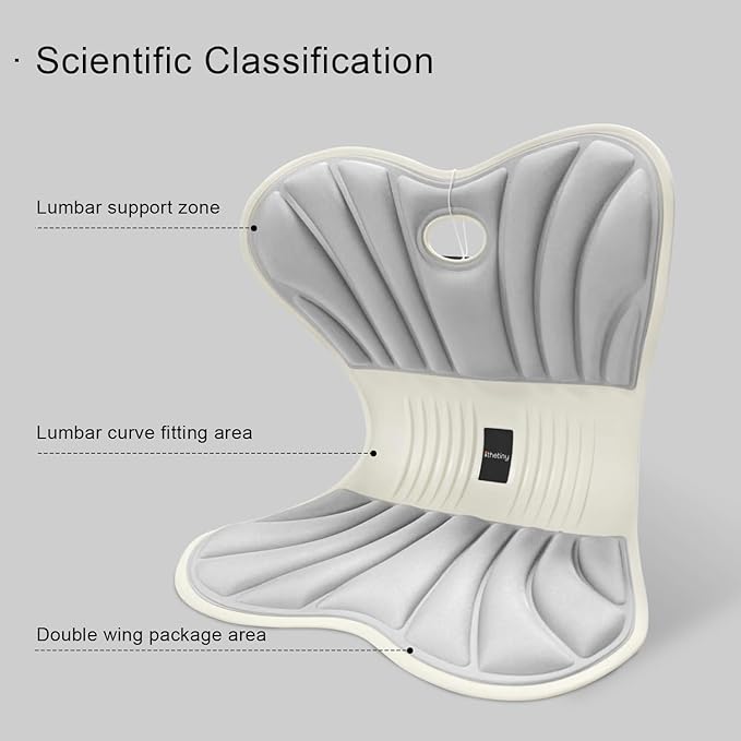 Posture Support Cushion - Lumbar & Back Support for Office Chair, Car Seat, Sofa, Ergonomic Chair & Back Cushion Back Support (03)