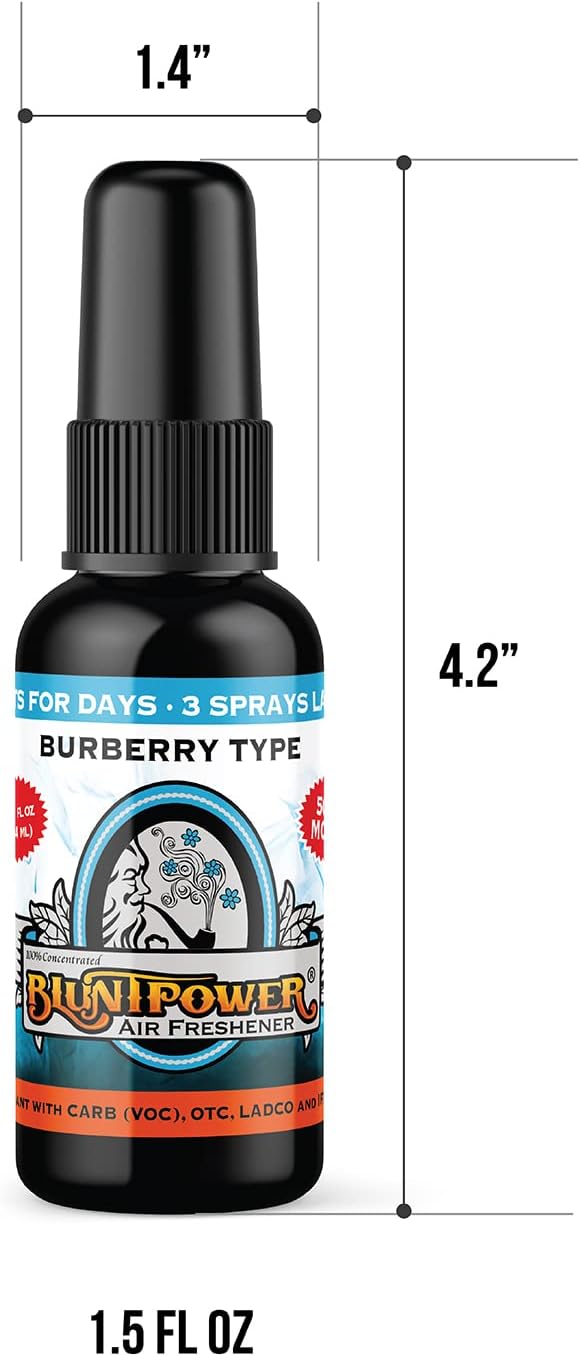 BluntPower (Blueberry, 1 Pack) Concentrated Air Freshener for Room and Car Spray - Oil-Based Diffuser Spray Bottle - Long-Lasting Bathroom Spray, Car Freshener, & Odor Eliminator Spray