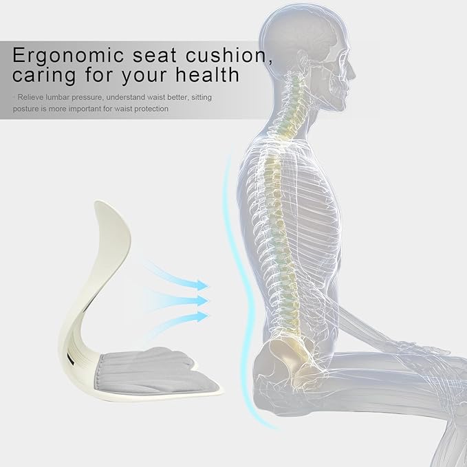 Posture Support Cushion - Lumbar & Back Support for Office Chair, Car Seat, Sofa, Ergonomic Chair & Back Cushion Back Support (04)