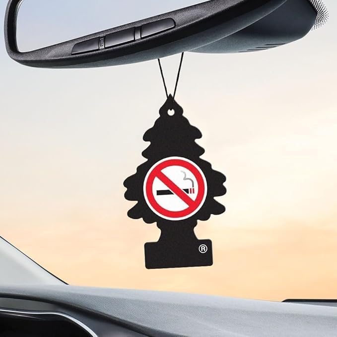 Little Trees Car Air Freshener 6-Pack (NO Smoking)