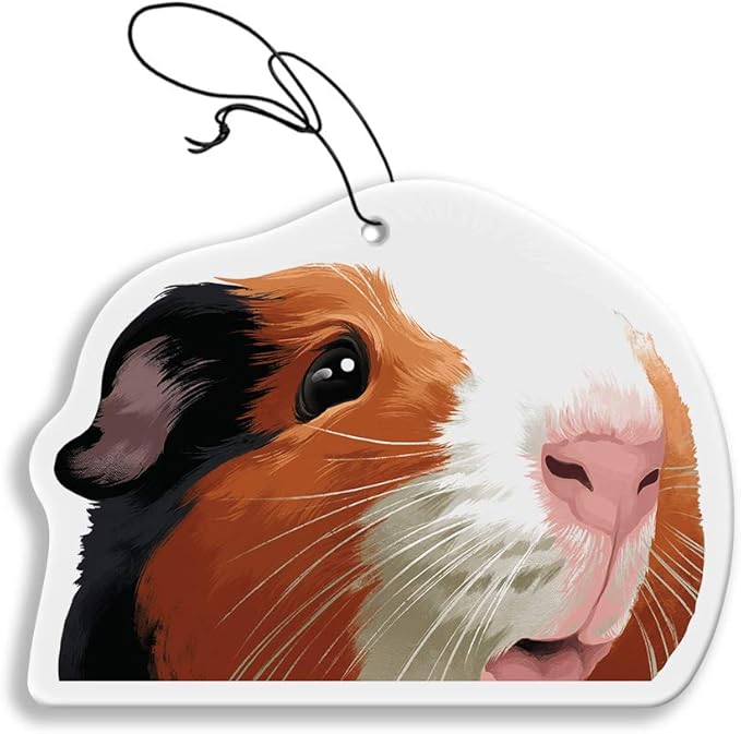 WIRESTER Hanging Air Freshener for Car, Home, Bathroom, Office, Decorative Charm Ornaments, Black White Brown Guinea Pig