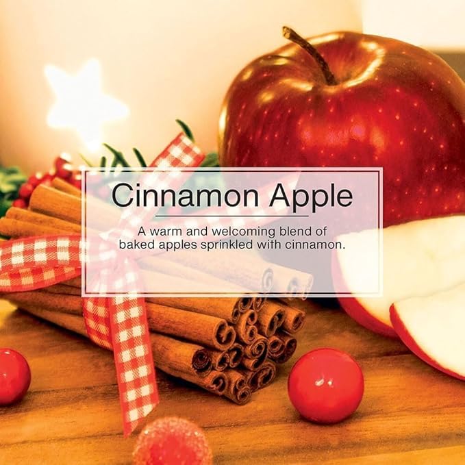 Car Freshner U1P10338 Little Trees Cinnamon Apple Air freshener, 24 Pack