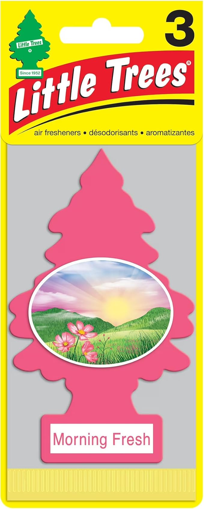 LITTLE TREES Car Air Freshener | Hanging Paper Tree for Home or Car | Morning Fresh | Pack of 3