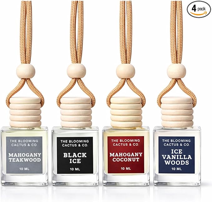 4 Pack Air fresheners | Long lasting car air fresheners, Hand-made in USA | Small room diffuser | Small Business Woman Owned. (10 ml Fresh & Earthy Pack Mix)