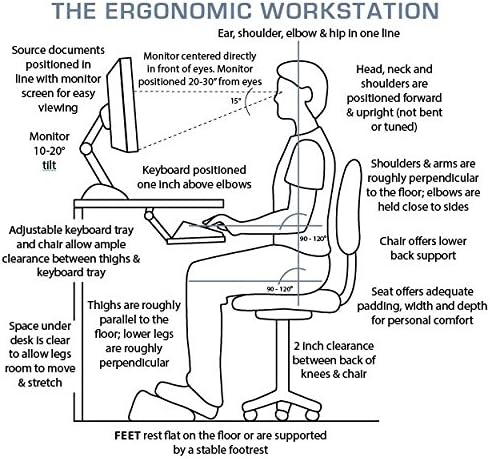FOMI Firm Gel Foam Back Support (14" x 15") Care | Upper Lower Thoracic and Lumbar Support for Car, Home, Office Chair | Promotes Healthy Posture, Sciatica Pain Relief
