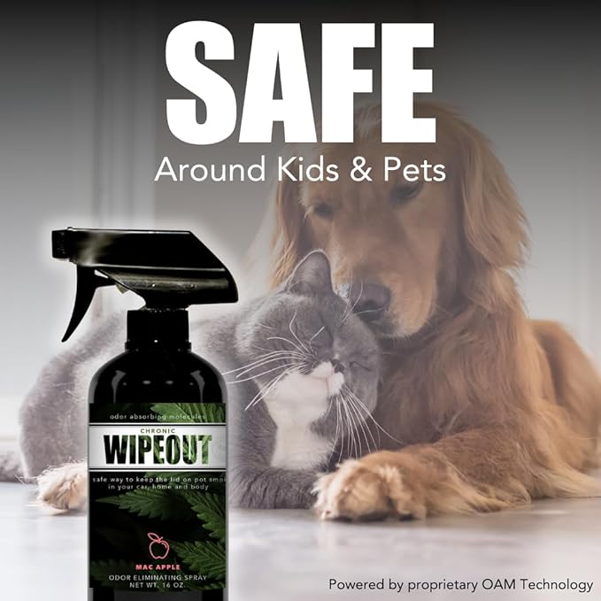 Chronic Wipeout Smoke Odor Eliminator Spray For Strong Odor - Highly Effective for Deodorizing Homes, Clothes, Cars, Office, Hands, & Hair from Smoke Smells - 1 16 oz Bottle Bamboo Teak Fragrance