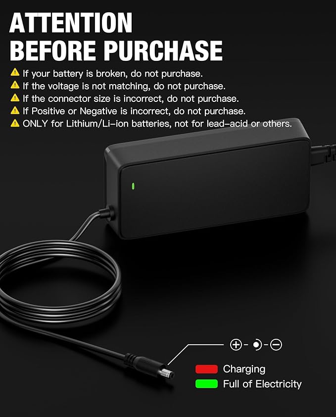 UL Listed 54.6V 2A eBike Charger for 48V Lithium Battery Compatible with 48V Lectric XP 1.0/2.0/3.0,Lectric XPremium, DC 5.5-2.1mm Bicycle Battery Charger Power Adapter