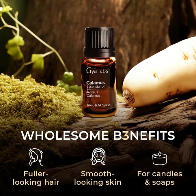 100% Pure Calamus Essential Oil - 0.34 Fl Oz - Calamus Oil for Hair, Skin, Diffuser, Aromatherapy & DIY Candle Making Scent