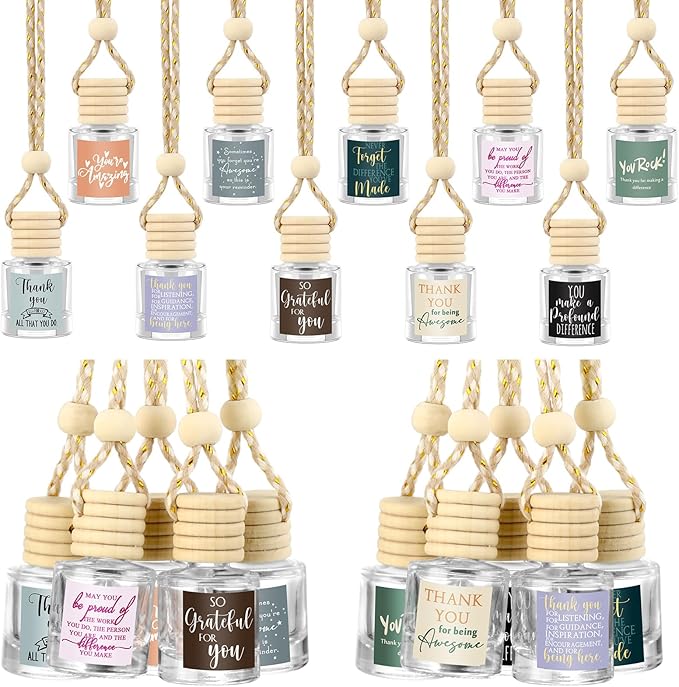 Funnymoom 30 Pcs Employee Appreciation Gifts Bulk Empty Glass Car Air Freshener Hanging Diffuser Thank You Gifts for Employee Nurse Staff Dietician Social Worker Volunteer