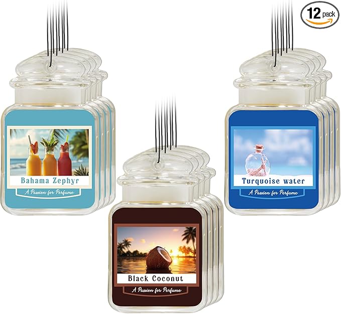 12 Pcs Car Freshener Air Freshener Paper Scented Hanging Car Accessories Fresheners for Interior Decor Bathroom Hanging Ornaments(Bahamas Black Coconut Turquoise Sky)