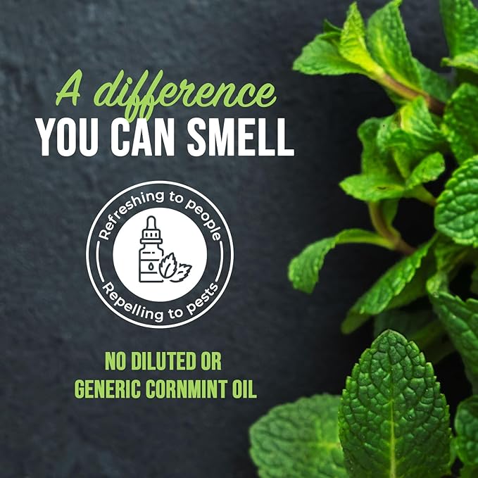 Mighty Mint Peppermint Oil Mouse Repellent Spray – Natural Indoor & Outdoor Control for Mice and Rodents – Plant-Based, Extra-Strong Formula - 16 oz