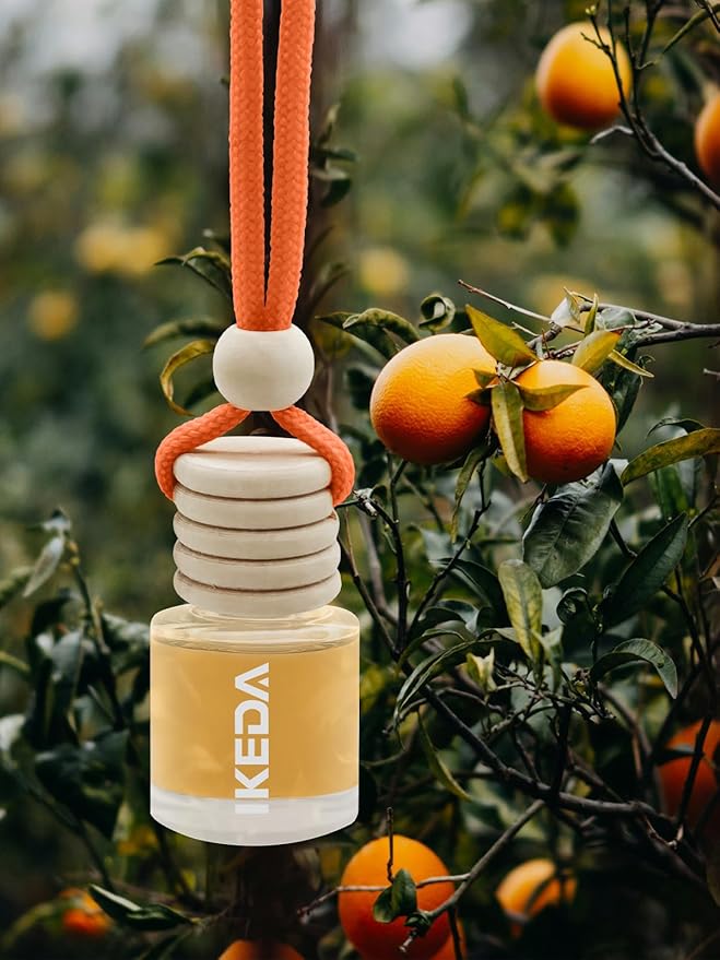 Ikeda Car Air Freshener: Hanging Car Smell Air Freshener | 10ml Hanging Car Perfume | Long Lasting Fragrance | Strong Scents Diffuser for Auto Home (Orange|Circular)