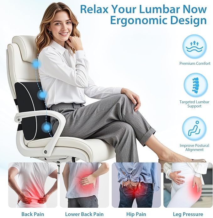 Large Lumbar Support Pillow for Office Chair, Car Seats and Home Desks, Ergonomic Back Support with Double Adjustable Straps, Machine Washable Cover, Black