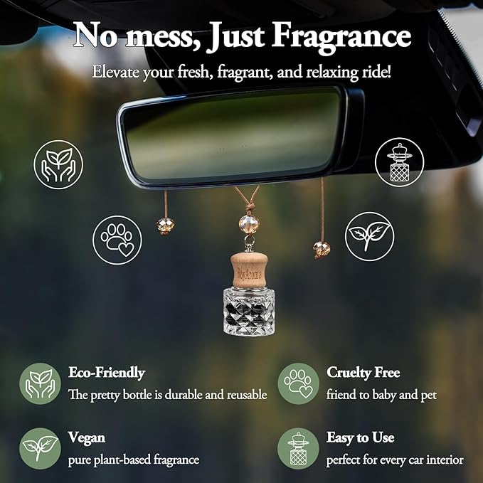 RoyAroma Hanging Car Air Fresheners, 2 Pack Long Lasting Automotive air fresheners up to 30-45 Days, Non Toxic Natural Fragrance Car Diffuser Freshener for Cars,Home,Office- Cool Ice