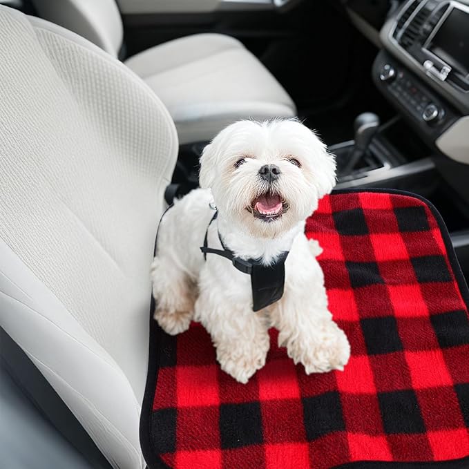 Tuanse 16 x 16 Inches Car Electric Blanket 12 Volt Heated Car Blanket with Temperature Controller and Black Storage Bag Cold Weather Tailgating and Emergency Kit(Red Black,Squares)