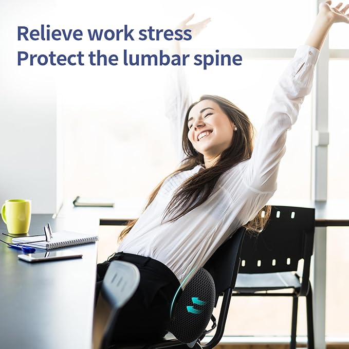 Lumbar Support Pillow for Office Chair, Car Lumbar Pillow Lower Back Pain Relief, Memory Foam Back Cushion with 4D Mesh Cover and Adjustable Straps, Ergonomic Chair Back Pillow for Car,Bed, Gaming