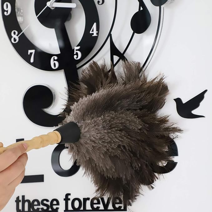 Midoneat Natural Gray Ostrich Feather Duster,2 Packs,Car Duster Interior/Exterior Cleaner, Cleaning for Blinds Kitchen Keyboard Office, Smart and Soft and Fluffy (Gray)