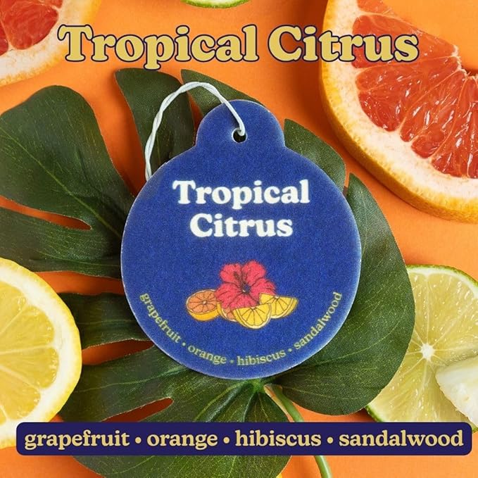 Happy Wax Summer Mix Car Charms 4-Pack Included Scents: Coastal Tide, Bronzed Coconut, Tropical Citrus, Florence