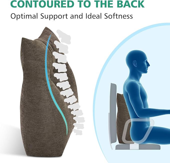Shinnwa Lumbar Support Pillow for Office Chair, Memory Foam Back Support Pillow for Back Pain Relief, Car, Chair and Couch, 15x17.5x4.5in, Brown