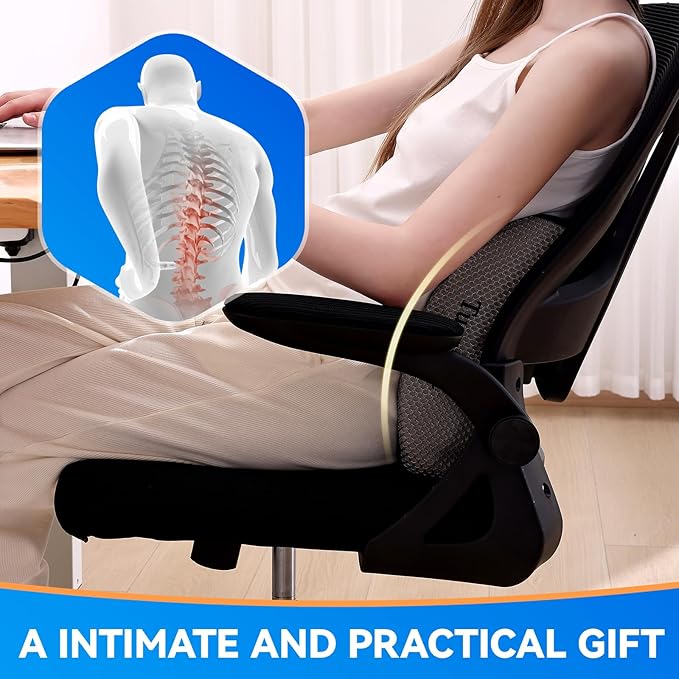 Lumbar Support Pillow for Office Chair, Gaming Chair, or Car, Memory Foam Cushion with Breathable Ventilated Mesh and Adjustable Straps for Long Lasting Back Support Ergonomic Suitable Gift