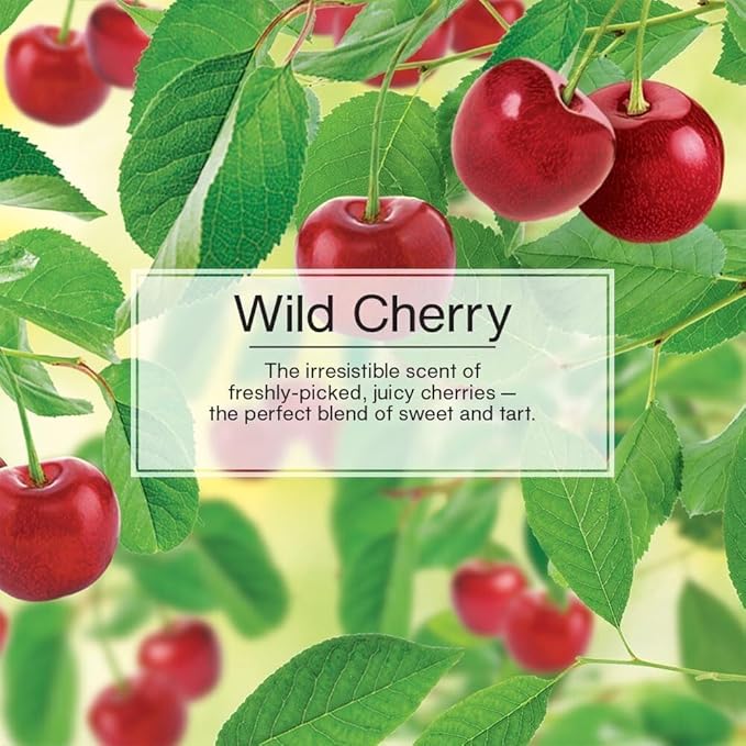 LITTLE TREES Car Air Freshener | Hanging Paper Tree for Home or Car | Wild Cherry | 3 Pack