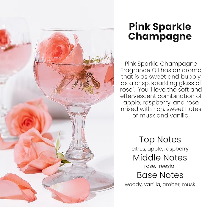 HoogaLife Car Air Freshener Diffuser 2 Pack Hanging Air Freshener Diffuser - Pink Sparkle Champagne Fragrance Oil Air Diffuse r for Car, 45+ Days Long Lasting Fragrance Made in USA (P38 SP)
