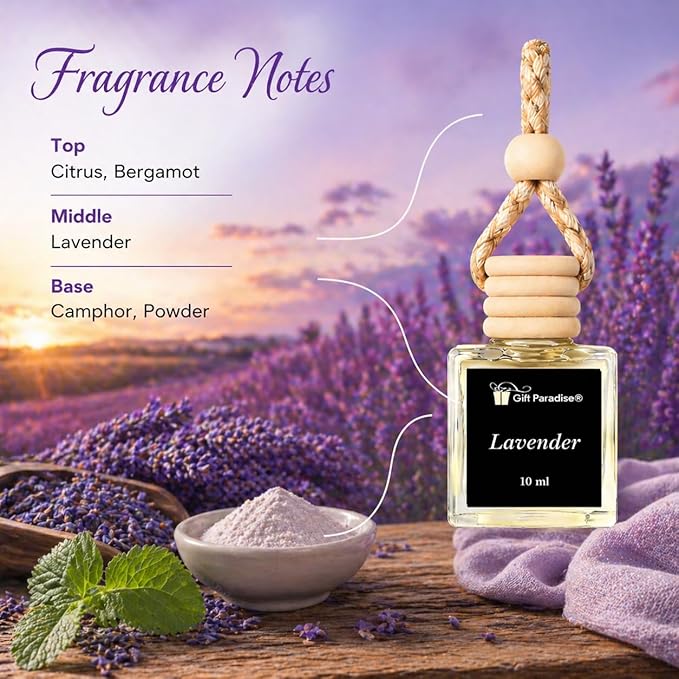 Gift Paradise® Lavender Car Air Freshener Set of 3 – 10 ml Hanging Diffusers, Calming Floral Scent, Long Lasting Aromatherapy Fragrance for Car, Home & Office – Magnetic Gift Box