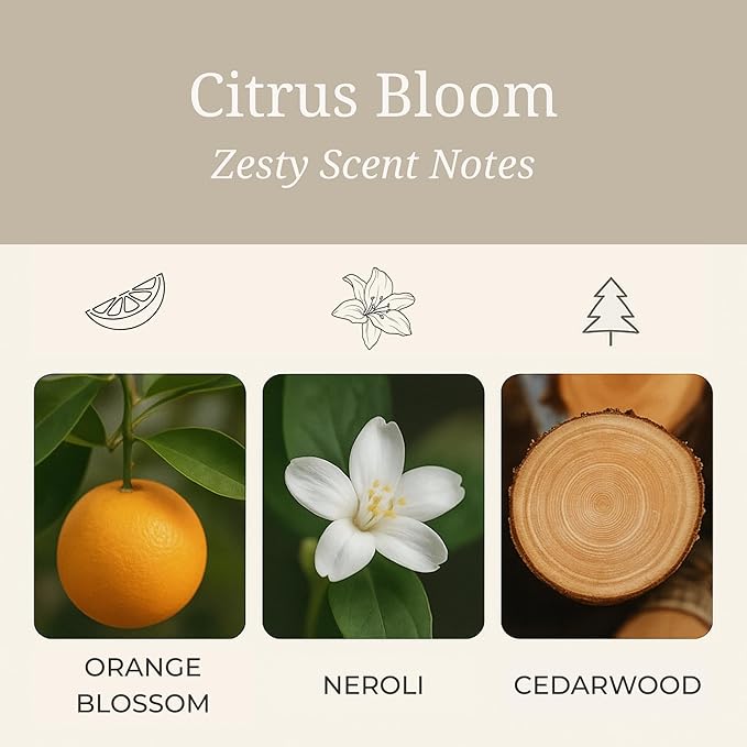 Aeris Car Fragrance Refill Kit - Includes 3 Pack Refill Scent Stones (Citrus Bloom (3 Pack Refill Kit))