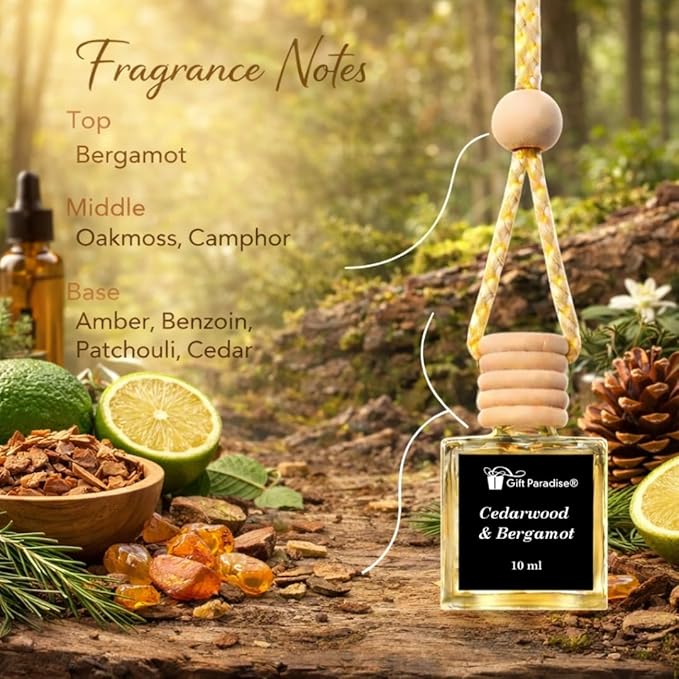 Gift Paradise® Cedarwood & Bergamot Car Air Freshener Set of 3, 10 ml Hanging Diffuser Bottles with Wooden Caps, Magnetic Gift Box, Woody Citrus Car Fragrance