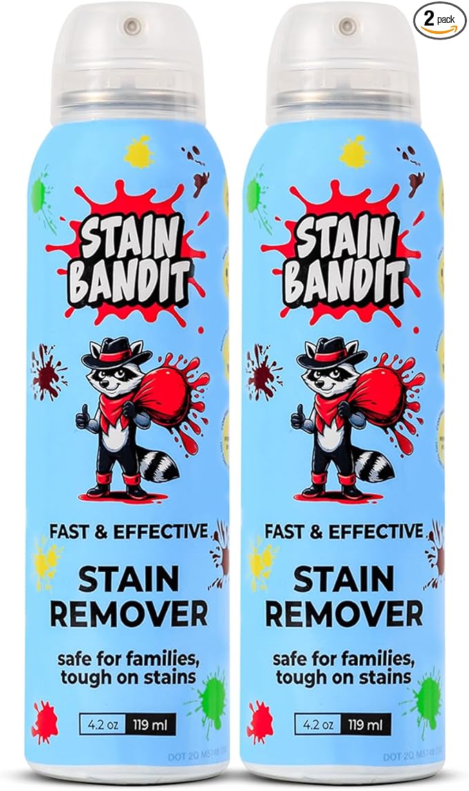 Stain Remover Spray | Non-Toxic Stain Remover Family Safe Formula | Bag-On-Valve 360° Continuous Spray Bottle | Cleaner for Clothes, Upholstery, Carpet & Car Seats 4.2 Oz, (Pack of 2)