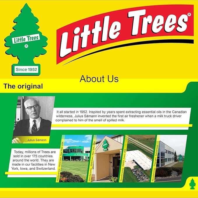 Little Trees DAS-17343 Car Air Freshener | Hanging Paper Tree for Home or Car | Blackberry Clove