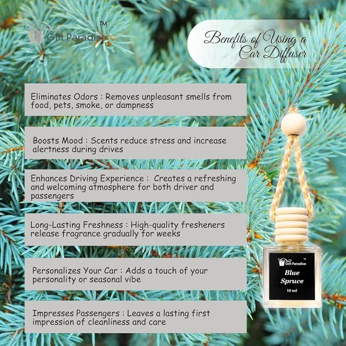 Blue Spruce Car Air Freshener – Set of 3 (10 ml Each) | Velvet gift bag Hanging Diffuser for Car, Closet & Office | Fresh Pine Forest Aroma, Handmade Long-Lasting Fragrance by Gift Paradise