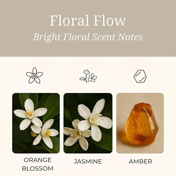 Aeris Car Fragrance Refill Kit - Includes 3 Pack Refill Scent Stones (Floral Flow (3 Pack Refill Kit))