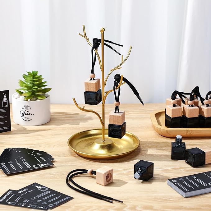 DaisyInner 60 Sets Car Diffuser Bottles Empty Bulk Hanging Car Air Freshener Diffuser Bottles Bulk Glass Perfume Holder with Instruction Cards for Essential Oil Fragrance Pendant(Square,Black)
