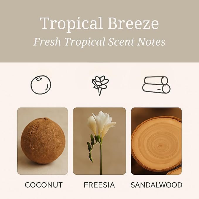 Aeris Car Fragrance Refill Kit - Includes 3 Pack Refill Scent Stones (Tropical Breeze (3 Pack Refill Kit))