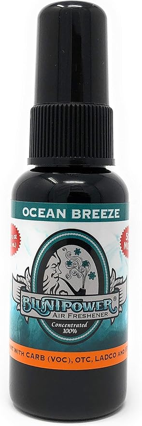 BluntPower (Ocean Breeze, 1 Pack) Concentrated Air Freshener for Room and Car Spray - Oil-Based Diffuser Spray Bottle - Long-Lasting Bathroom Spray, Car Freshener, & Odor Eliminator Spray