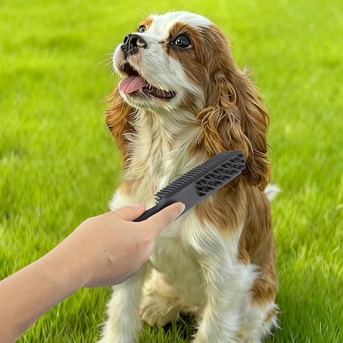 Miyake 3-in-1 Pet Hair Remover Rubber Brush with Squeegee, Cat and Dog Hair Remover Pumice Stone Tool, Lint & Carpet Cleaner for Couch, Furniture, Clothes, Pet Bed, Car Detailing Supply & Home Tools