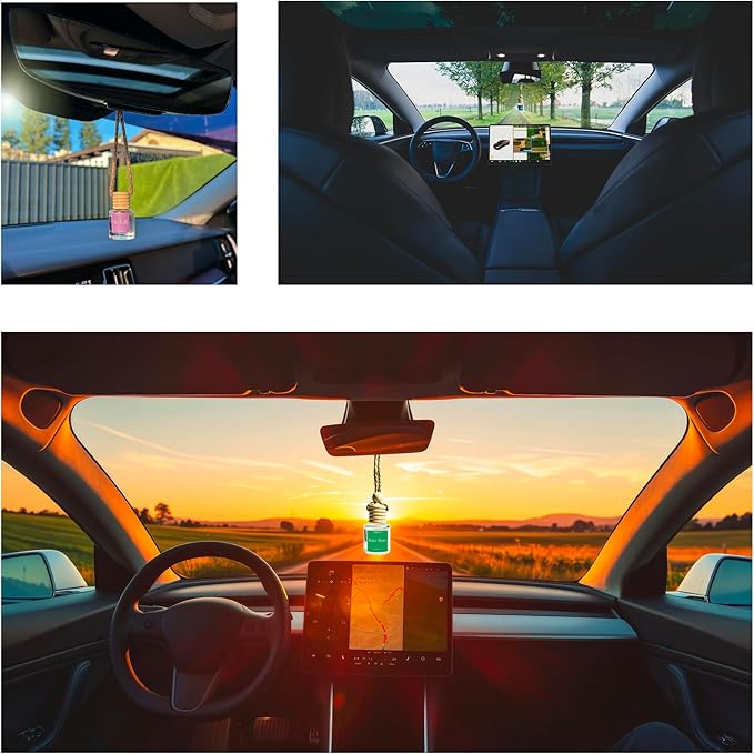 Car Air Freshener Cool Ice & Citrus Pacific 2 Pack Hanging Air Freshener Diffuser, Cute Car Accessories, Air Freshner for Women & Men Gift Non-Toxic Car Scent Long Lasting Oil Diffuser, Made in USA