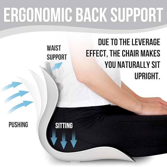 Lumbar Support Posture Corrector Chair for Men – Large Portable Ergonomic Back Support Chair for Posture Correction and Lower Back Pain Relief