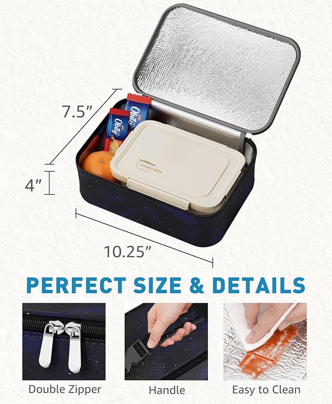Small Lunch Box Insulated Lunch Bag for Women Men, Bento Kids Lunch Box, Compact Portable Thermal Meal Cooler Bags with Buckle Handle for Work & School, Astral 5L