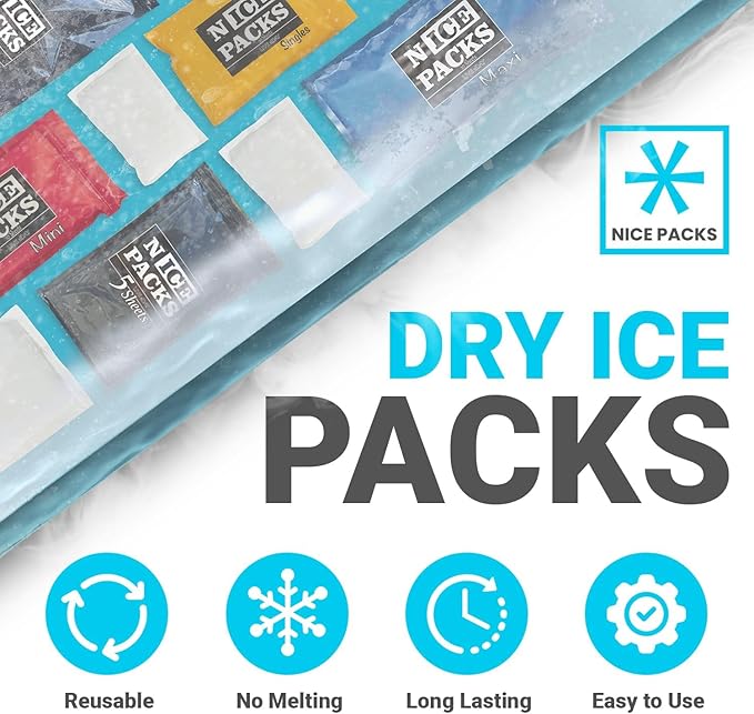 Nice Packs Reusable Dry Ice Packs for Shipping Frozen Food, Coolers, Lunch Boxes - Flexible and Long Lasting (10 Mini Sheets)