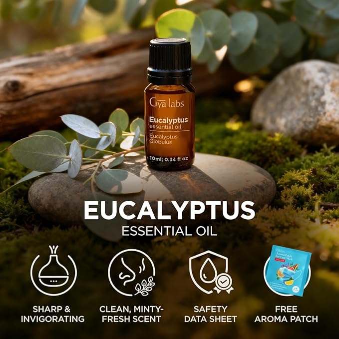 100% Pure Eucalyptus Essential Oil - 0.34 Fl Oz - Eucalyptus Oil for Hair, Skin, Diffuser, Aromatherapy & DIY Candle Making Scent