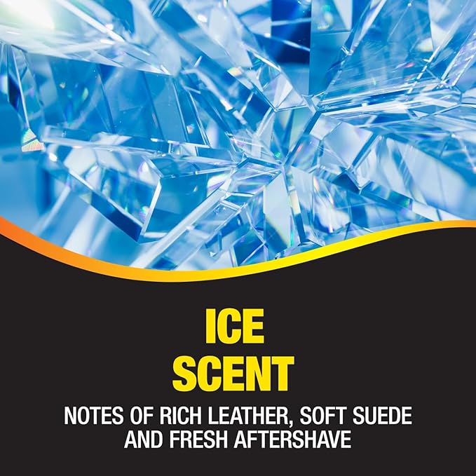 California Scents Palms Ice Paper Car Air Freshener, Pack of 6 x 4 units