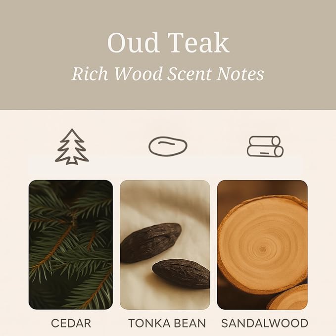 Aeris Car Fragrance Refill Kit - Includes 3 Pack Refill Scent Stones (Oud Teak (3 Pack Refill Kit))