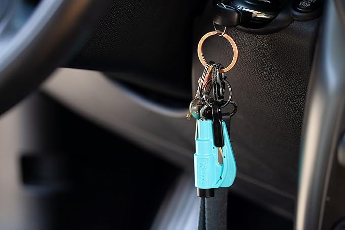 resqme The Original Compact Emergency Keychain Car Escape Tool, Seatbelt Cutter and Window Breaker, Made in USA, Pack of 2